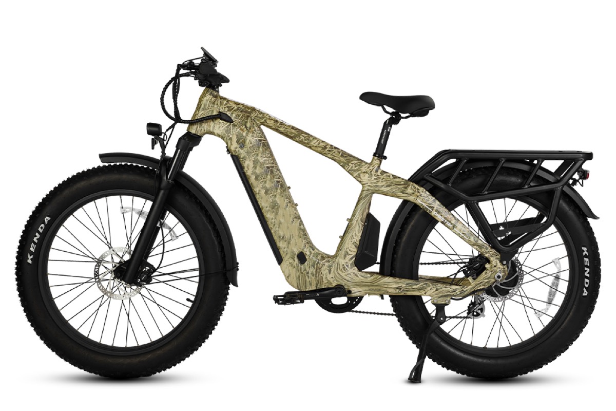 Cheetah electric bike