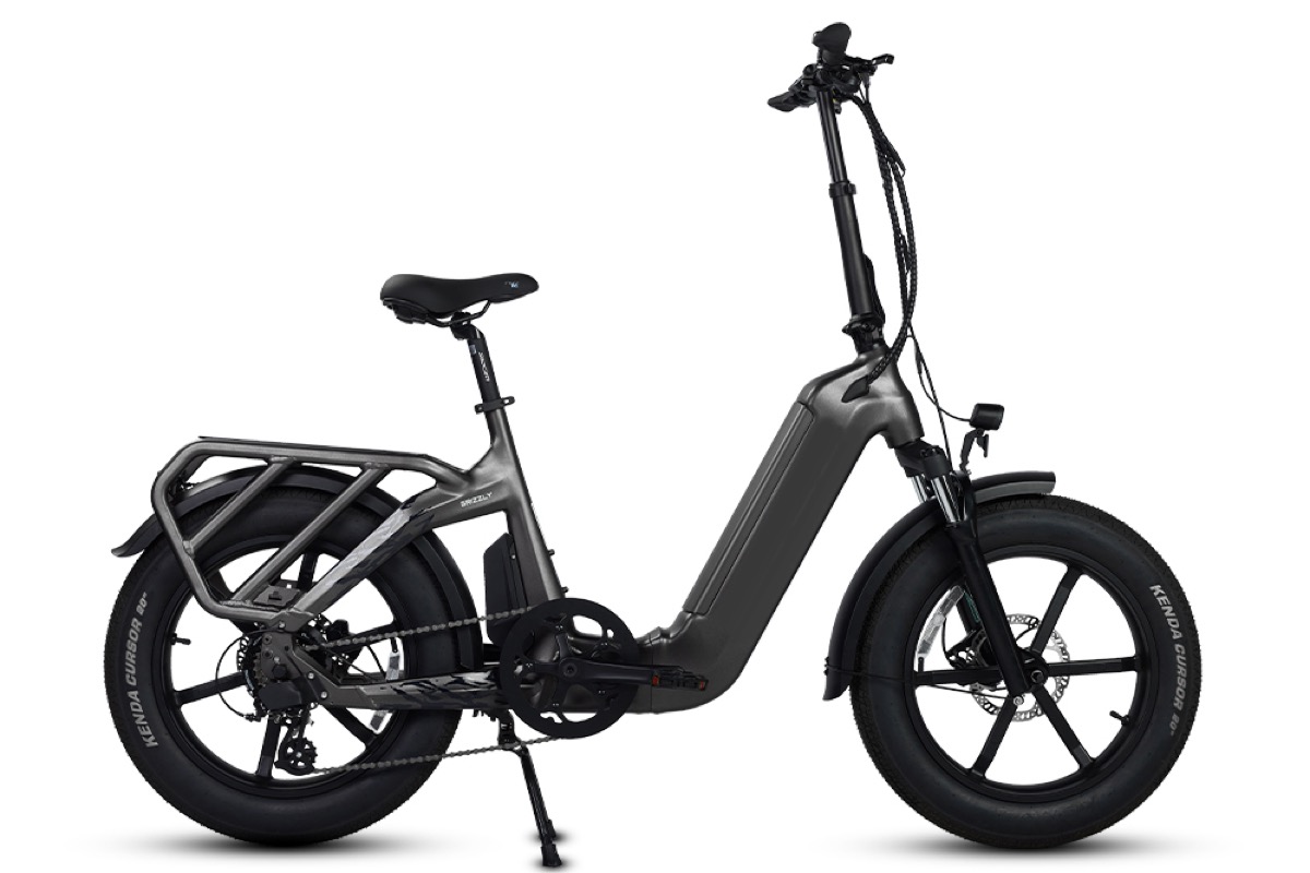 Grizzly electric bike