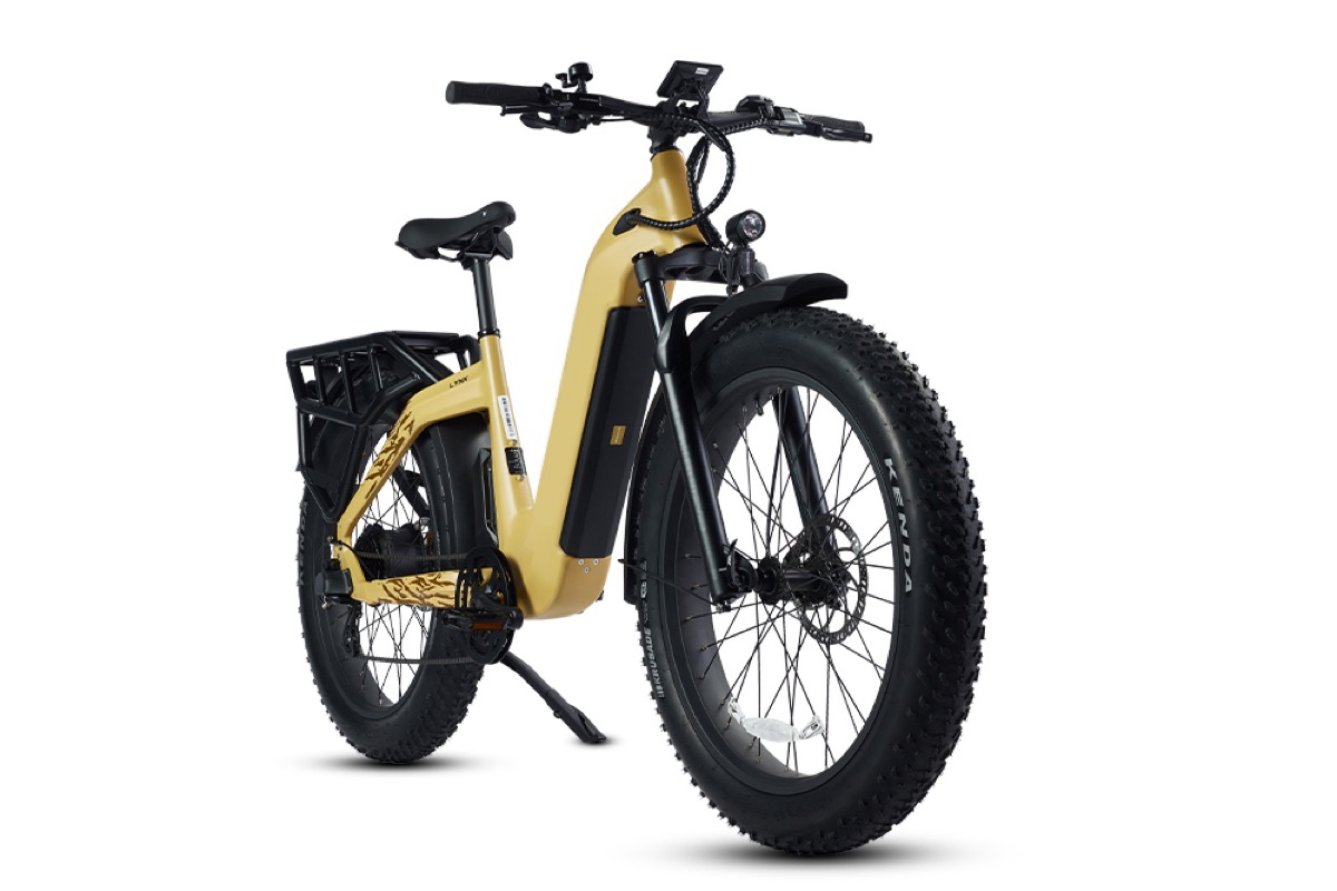Lynx electric bike